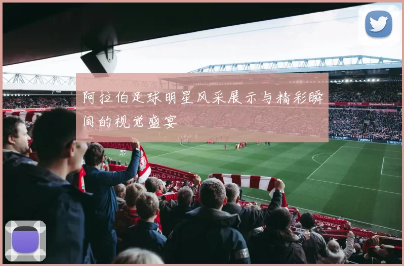 阿拉伯足球明星风采展示与精彩瞬间的视觉盛宴