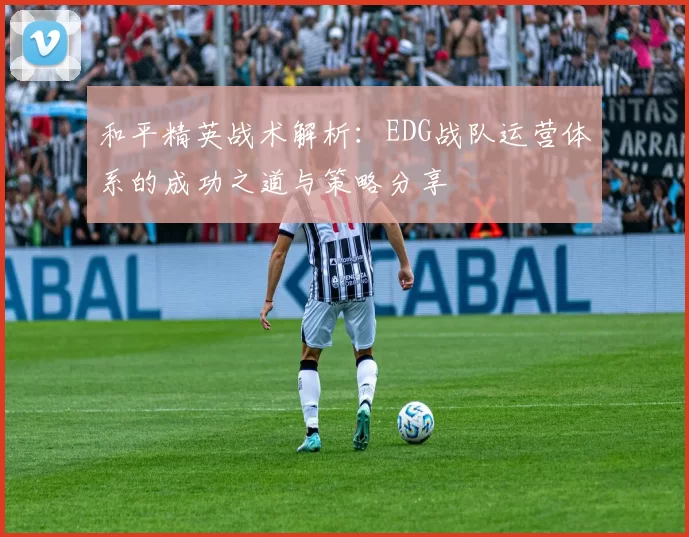 和平精英战术解析：EDG战队运营体系的成功之道与策略分享
