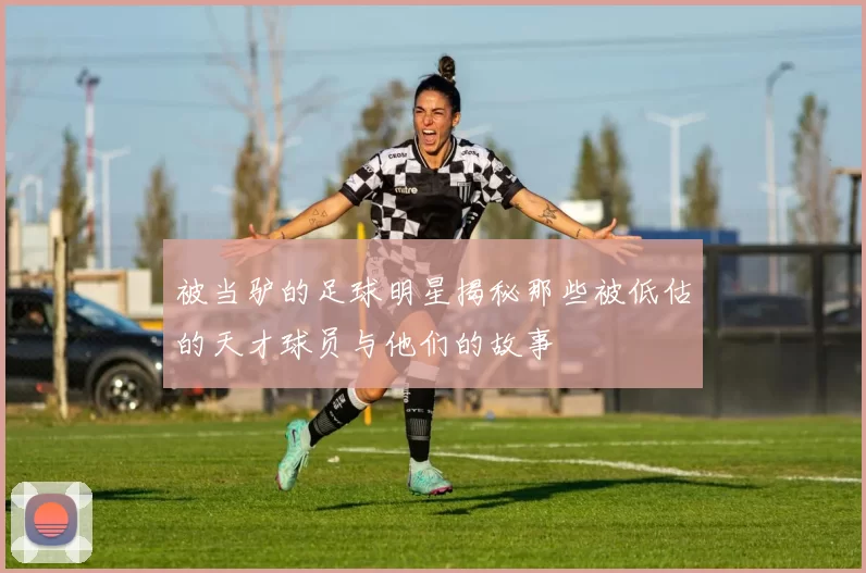 被当驴的足球明星揭秘那些被低估的天才球员与他们的故事