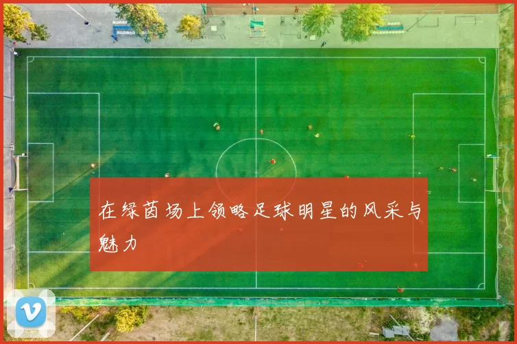 在绿茵场上领略足球明星的风采与魅力