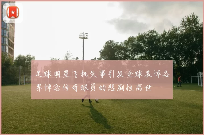 足球明星飞机失事引发全球哀悼各界悼念传奇球员的悲剧性离世