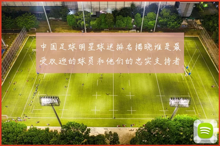 中国足球明星球迷排名揭晓谁是最受欢迎的球员和他们的忠实支持者
