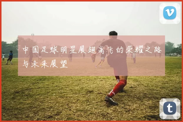 中国足球明星展翅高飞的荣耀之路与未来展望