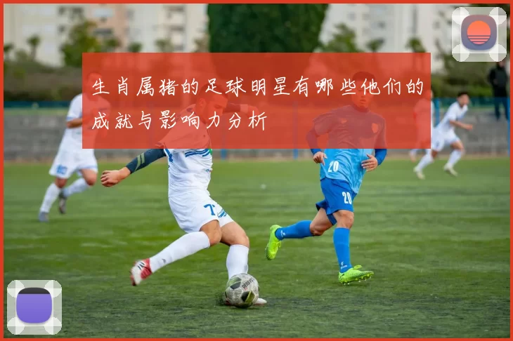 生肖属猪的足球明星有哪些他们的成就与影响力分析