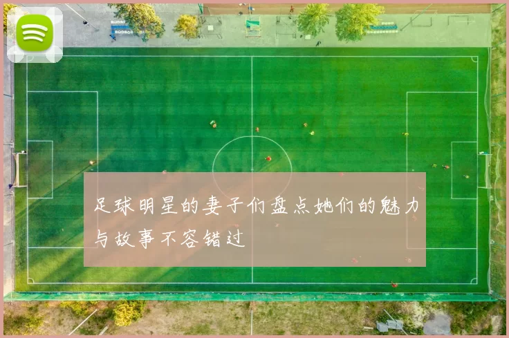 足球明星的妻子们盘点她们的魅力与故事不容错过