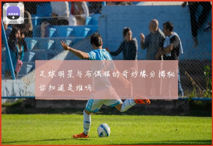 足球明星与布偶猫的奇妙缘分揭秘你知道是谁吗