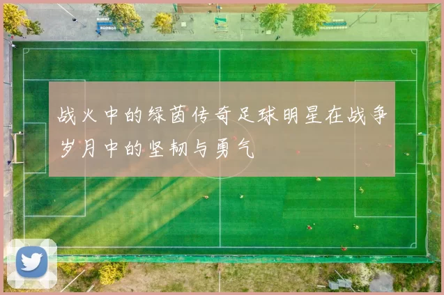 战火中的绿茵传奇足球明星在战争岁月中的坚韧与勇气
