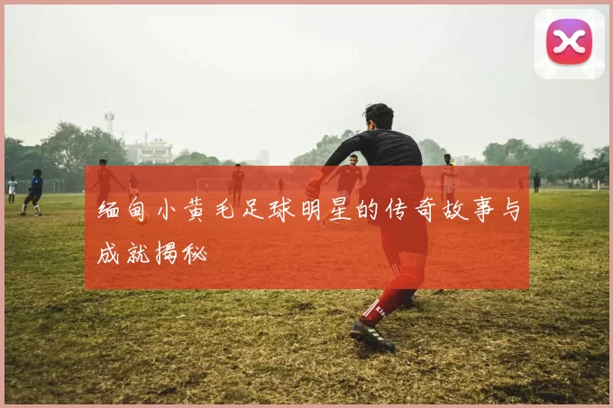 缅甸小黄毛足球明星的传奇故事与成就揭秘