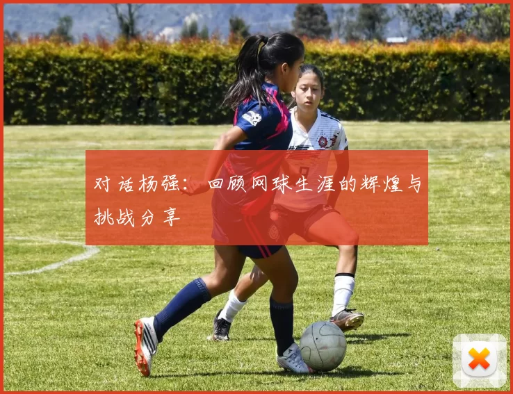 对话杨强：回顾网球生涯的辉煌与挑战分享
