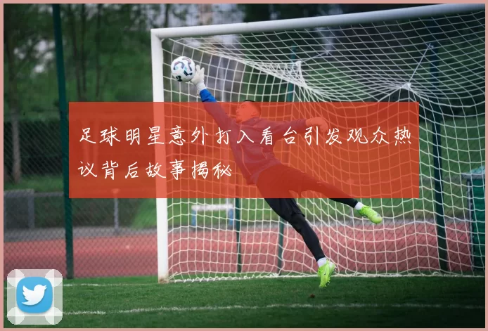 足球明星意外打入看台引发观众热议背后故事揭秘