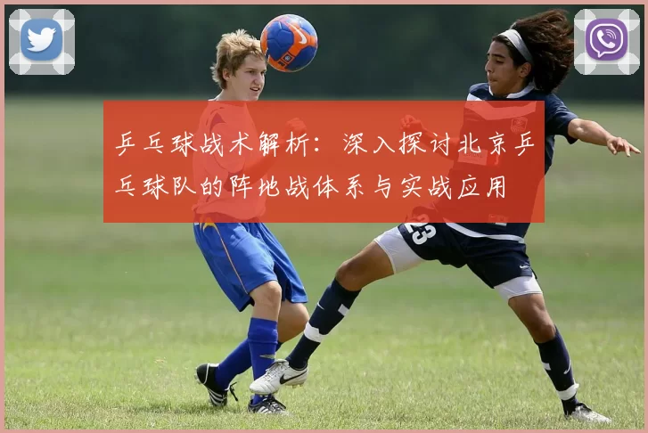 乒乓球战术解析：深入探讨北京乒乓球队的阵地战体系与实战应用