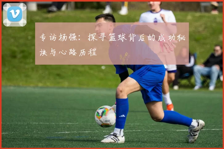 专访杨强：探寻篮球背后的成功秘诀与心路历程