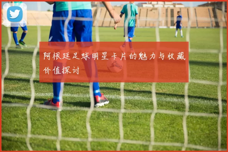 阿根廷足球明星卡片的魅力与收藏价值探讨
