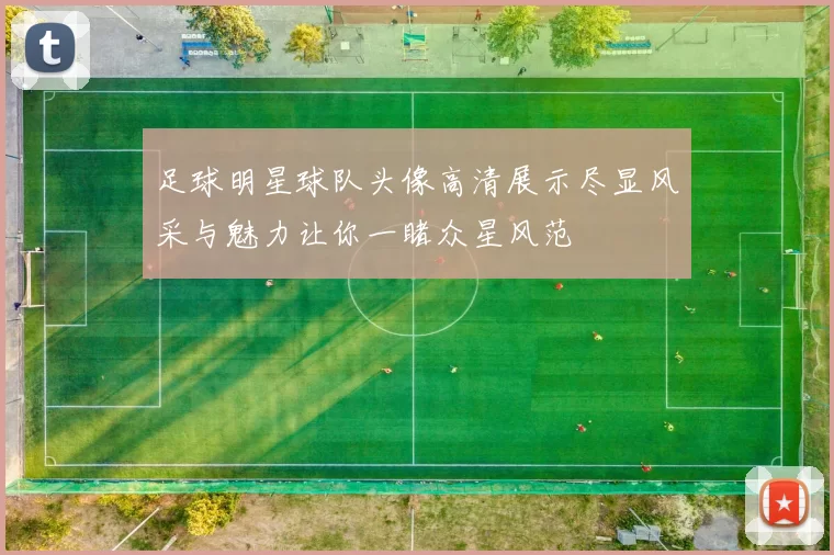 足球明星球队头像高清展示尽显风采与魅力让你一睹众星风范