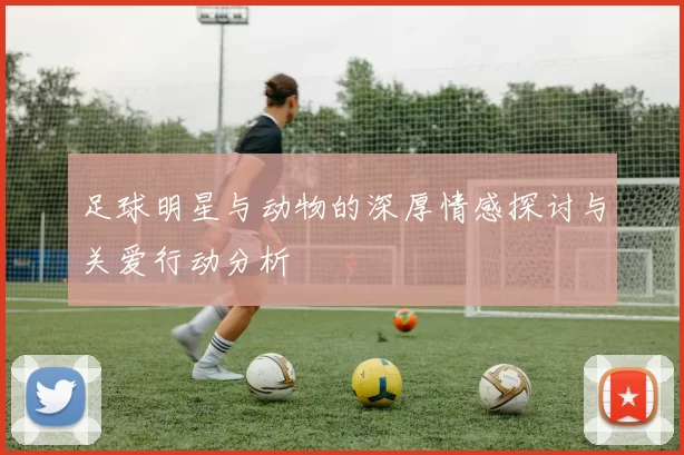足球明星与动物的深厚情感探讨与关爱行动分析