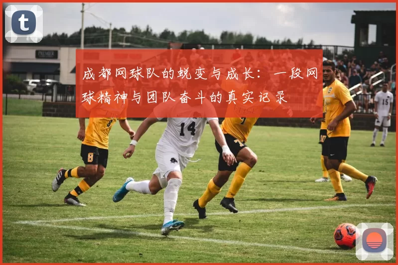 成都网球队的蜕变与成长：一段网球精神与团队奋斗的真实记录