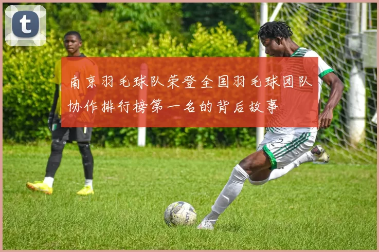 南京羽毛球队荣登全国羽毛球团队协作排行榜第一名的背后故事