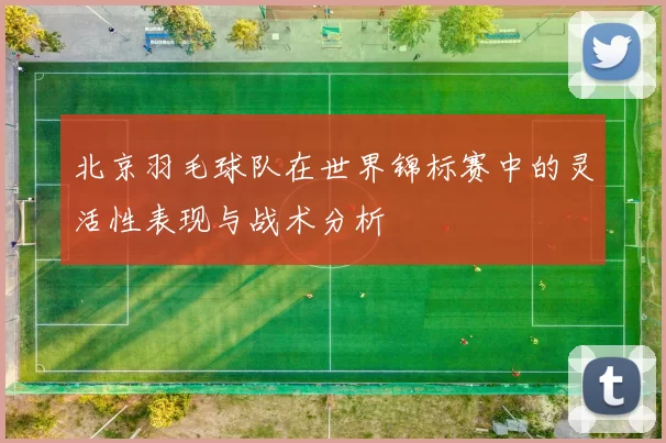 北京羽毛球队在世界锦标赛中的灵活性表现与战术分析