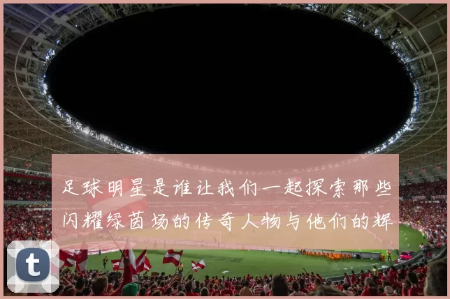 足球明星是谁让我们一起探索那些闪耀绿茵场的传奇人物与他们的辉煌成就