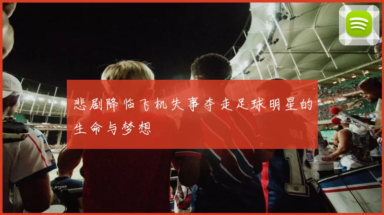 悲剧降临飞机失事夺走足球明星的生命与梦想