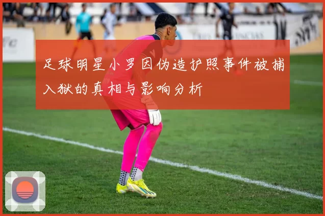 足球明星小罗因伪造护照事件被捕入狱的真相与影响分析