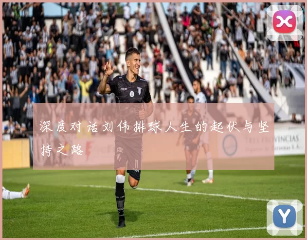 深度对话刘伟排球人生的起伏与坚持之路