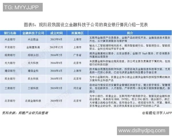 广州篮球队技术分析与战术创新的深度探讨与展望