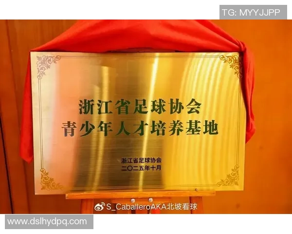 以足协为核心推动中国足球改革进程加强基础建设与人才培养全方位提升竞技水平